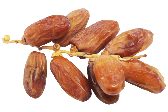 deglet nour en branche