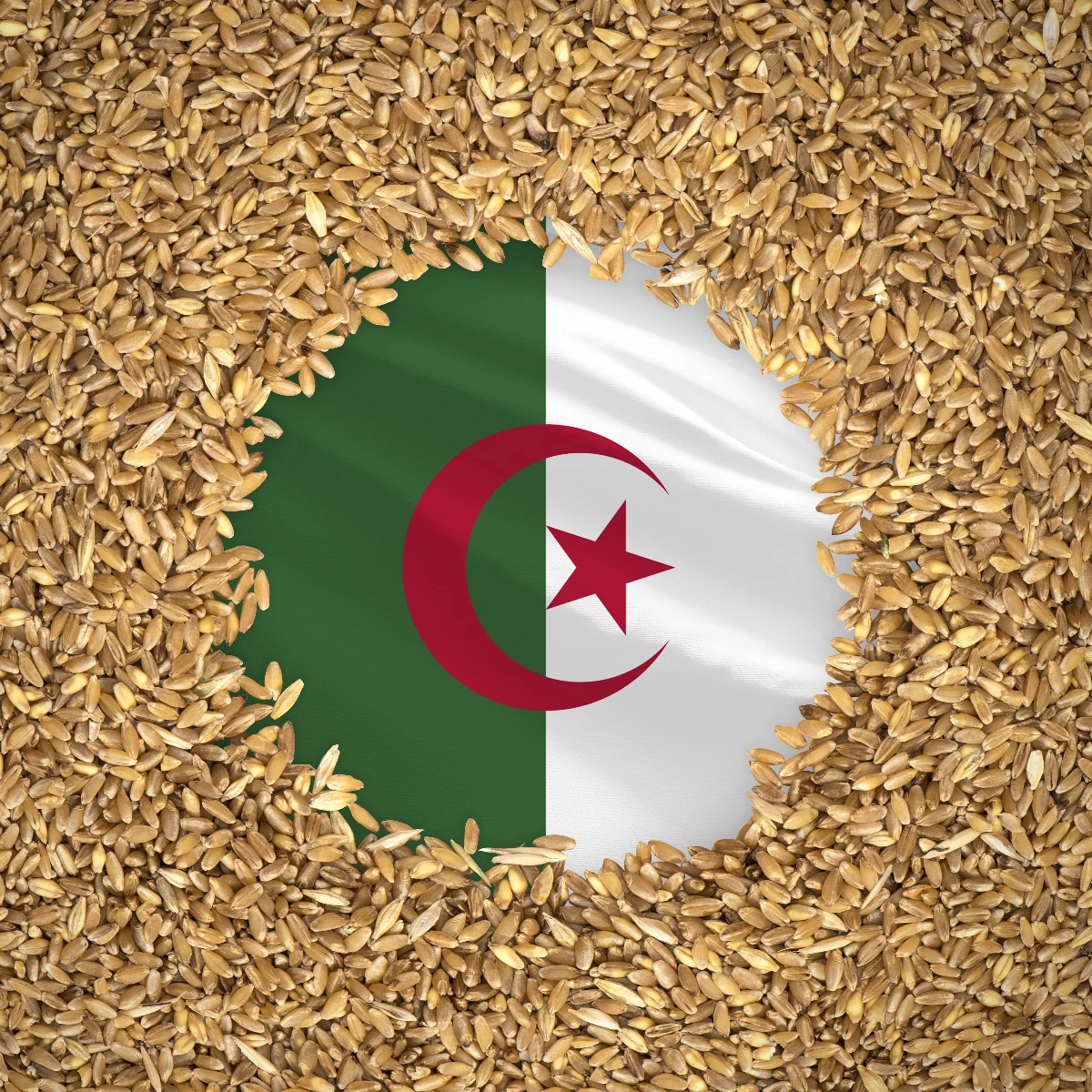 agro-food-algeria